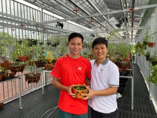 Nguyễn Tấn Lên: Chàng trai nuôi dưỡng ước mơ làm giàu từ hoa phong lan